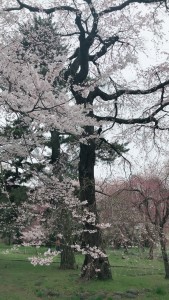67A11296-FF15-432F-A8E6-CF3BDB399F65